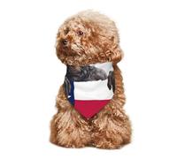 Collier Bandana Bigfoot Brandit Le Drapeau du Texas Bandanas pour Chiens Respirant Bandana pour Chien Réglable Foulard Triangle pour Fêtes Anniversaires Tenue De Tous Les Jours