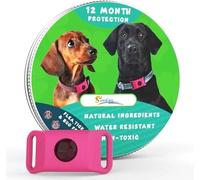 Collier Baupaw/BauPaw™ Pendentif - 12 Mois De Protection Naturelle pour Chiens