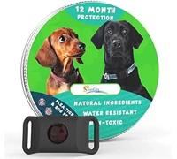 Collier Baupaw/BauPaw™ Pendentif - 12 Mois De Protection Naturelle pour Chiens