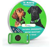 Collier Baupaw/BauPaw™ Pendentif - 12 Mois De Protection Naturelle pour Chiens