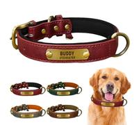 Collier canin en Cuir véritable, Personnalisable avec Plaque gravée, rembourré Doux et très résistant, réglable pour Toutes Tailles de Chiens (Wine, M: Neck 31-39cm, Width 2.0cm)