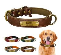 Collier canin en Cuir véritable, Personnalisable avec Plaque gravée, rembourré Doux et très résistant, réglable pour Toutes Tailles de Chiens (Brown, M: Neck 31-39cm, Width 2.0cm)