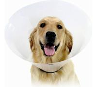 Collier cervical pour chien KVP Check Transparent (22-27 cm)