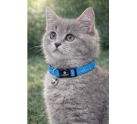 Collier Chat - Chaton Elza Bleu 15-22 cm - Nylon élastique réfléchissant avec Clochette