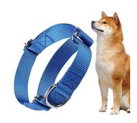 Collier Chat Petit Accessoires Réglables Chiots | Colliers Anti-Punch Pour Chats Pour Parents D'Animaux Amoureux Des Animaux Dresseurs Port Promenades Nocturnes Visites