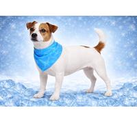 Collier Chien - Bandana rafraîchissant Bleu S 52x22 cm - Polyester Respirant - Effet refroidissant - 3 Couches - Absorption d’Eau - été - Type Tapis rafraichissant Chat Chien