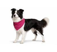 Collier Chien - Bandana rafraîchissant Rose M 70x25 cm - Polyester Respirant - Effet refroidissant - 3 Couches - Absorption d’Eau - été - Type Tapis rafraichissant Chat Chien
