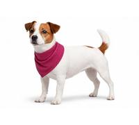 Collier Chien - Bandana rafraîchissant Rose S 52x22 cm - Polyester Respirant - Effet refroidissant - 3 Couches - Absorption d’Eau - été - Type Tapis rafraichissant Chat Chien