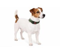 Collier Chien - Collier Ziggi Kaki - Taille S - 30-45 cm x 15 mm - Nylon réglable - Fermeture Clip - Anneau métal Nickel