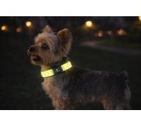 Collier Chien - Fergu Fluo Jaune XS - 20-35 cm - 10 mm - Nylon réglable - Fermeture clic - réfléchissant