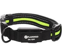 Collier Chien - Flitzy Noir & Jaune S | 30-40cm x 20mm x 5mm, LED, USB Rechargeable
