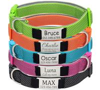 Collier Chien Personnalisé avec Plaque Nom - Réfléchissant, Réglable pour Chiots Petit/Moyen/Grand Chiens, Collier Rembourré avec Médaille Gravée