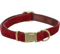 Collier Chien - Saba Rouge S | 30-45cm x 15mm x 3mm, Nylon/Velours, Boucle dorée