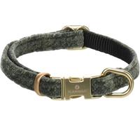 Collier Chien - Collier pour Chien - Taille XS: 20-35cm x 10mm - Flamingo Collier Saba Vert - Nylon et Velours Doux - Boucle Dorée