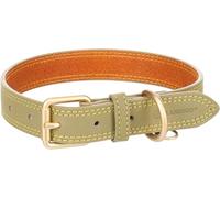 Collier Chien - Virginia Vert L | 38-48cm x 25mm x 4mm, Cuir, Boucle dorée