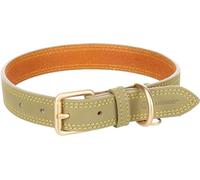 Collier Chien - Virginia Vert L | 43-53cm x 25mm x 4mm, Cuir, Boucle dorée