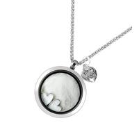 Collier commémoratif en acier inoxydable pour poils d ' animaux de compagnie, avec pendentif en forme de cœur ouvrable pour conserver les cheveux et les dents, collier commémoratif en acier inoxydable