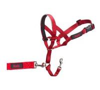 Collier d entraînement pour chiens Company of Animals Halti Muselière 3140 cm