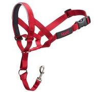 Collier d entraînement pour chiens Company of Animals Halti Muselière 3548 cm