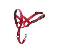 Collier d entraînement pour chiens Company of Animals Halti Muselière 3548 cm