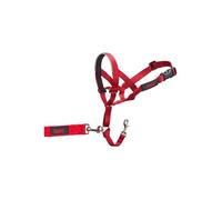 Collier d entraînement pour chiens Company of Animals Halti Muselière 4662 cm