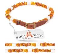 Collier d'ambre pour chien avec tubes en céramique EM - Microorganismes efficaces - Collier d'ambre pour chien - Ambre (45-50 cm)