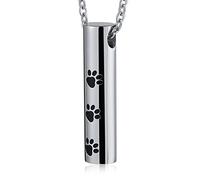 Collier de Cendres pour Femmes Animaux de Compagnie, Colliers d'urne Personnalisables pour Cendres Pendant DE Cylindre D'EACHIDE en ACI
