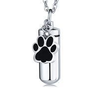 Collier de Cendres pour Femmes Animaux de Compagnie, Colliers d'urne Personnalisables pour Cendres Pendant DE Cylindre D'EACHIDE en ACI