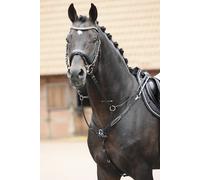 Collier de chasse Busse GLORY noir/brun, Busse_17_tailles:pur-sang/garrot