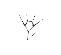 Collier de chasse cinq points Noir COB (pur sang)