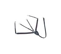 Collier de chasse pour cheval à élastique large HKM Noir Cheval