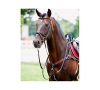 Collier de chasse pour cheval élastique avec martingale Tattini Noir Cob