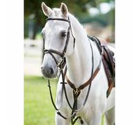 Collier de chasse pour cheval élastique en y avec martingale Tattini Marron Cob