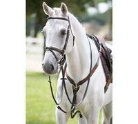 Collier de chasse pour cheval élastique en y avec martingale Tattini Noir Full