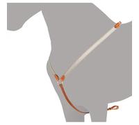 Collier de chasse pour cheval Ludomar Marron Full