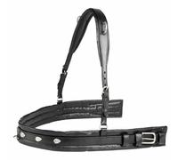 Collier de chasse pour cheval pour harnais Tattini Noir Full