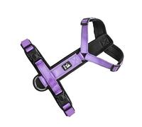 Collier de chat harnais laisse réglable en nylon Traction pour animaux de compagnie chat chien Traction corde collier fournitures harnais pour animaux de compagnie ceinture laisse évasion preuve grand
