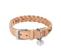 Collier de chien Bergamo SM LxWxH 46x2.5x0.3cm