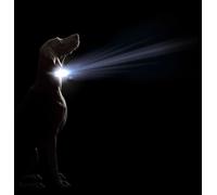 Collier de chien Dog Gone Smart rouge 12 lumière