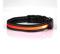 Collier de Chien en Nylon Réglable à LED pour Animaux de Compagnie, Clignotant de sécurité avec USB Rechargeable, Réduit la Perte d'animaux pour Les Promenades Nocturnes (S)