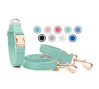 Collier de Chien et Laisse en Cuir Souple, Réglable en 3 Longueurs Laisse pour Chien et Collier Ensemble [Facile à Nettoyer] avec Boucle en Or Rose & Durable Nylon pour Chiot Petits Moyens Grands