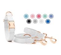 Collier de Chien et Laisse en Cuir Souple, Réglable en 3 Longueurs Laisse pour Chien et Collier Ensemble [Facile à Nettoyer] avec Boucle en Or Rose & Durable Nylon pour Chiot Petits Moyens Grands