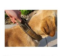 Collier de Chien Extérieur, évitez d'étrangler Les Coins Arrondis de Colliers pour Animaux de Compagnie Réglables (L (42 cm-54 cm))