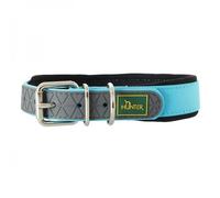 Collier de chien hunter confort turquoise