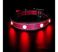 Collier de chien LED clignotant M Red TZ-Pet8000