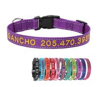 Collier de Chien Nylon Réfléchissant Personnalisé avec Nom et Numero Telephone Brodés pour Petits Chiens Taille S Vert