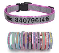 Collier de Chien Nylon Réfléchissant Personnalisé avec Prénom Numero Telephone Brodés pour Petits Chiens Taille S La Violette