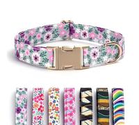 Collier de Chien Personnalisé Gravé Nom & Téléphone - Collier Ajustable pour Chiot Taille XS S M L Floral pour Chien Mâle/Femelle