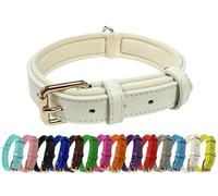 Collier de chien réglable en cuir véritable vibrant avec rembourrage doux en néoprène, boucle en métal et anneau en D, pour chiens de petite, moyenne et grande taille (Blanc, Petit (25-33 cm de cou))