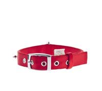 Collier de chien réglable en nylon clouté Ferribiella